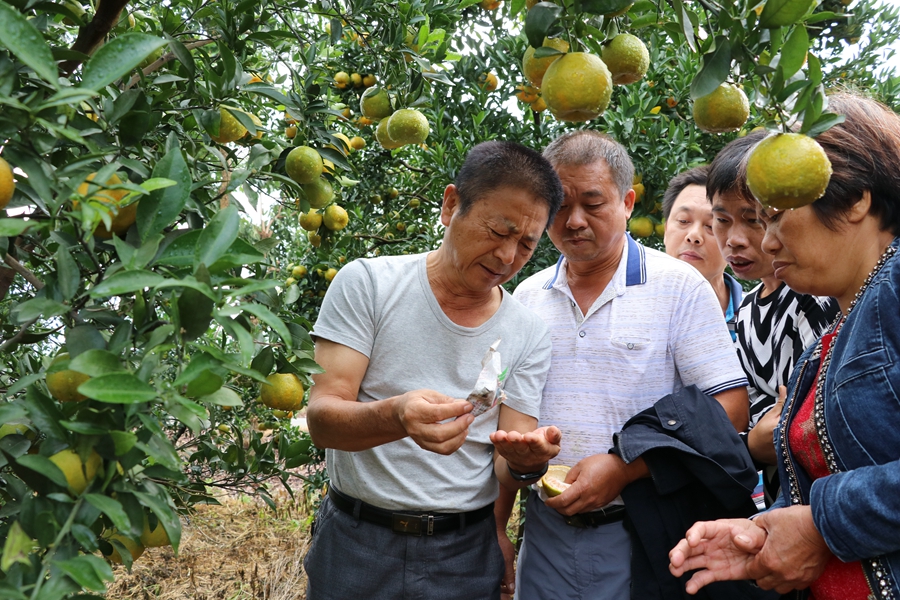 长泰:培育新型职业农民 助力乡村振兴