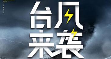 新华网