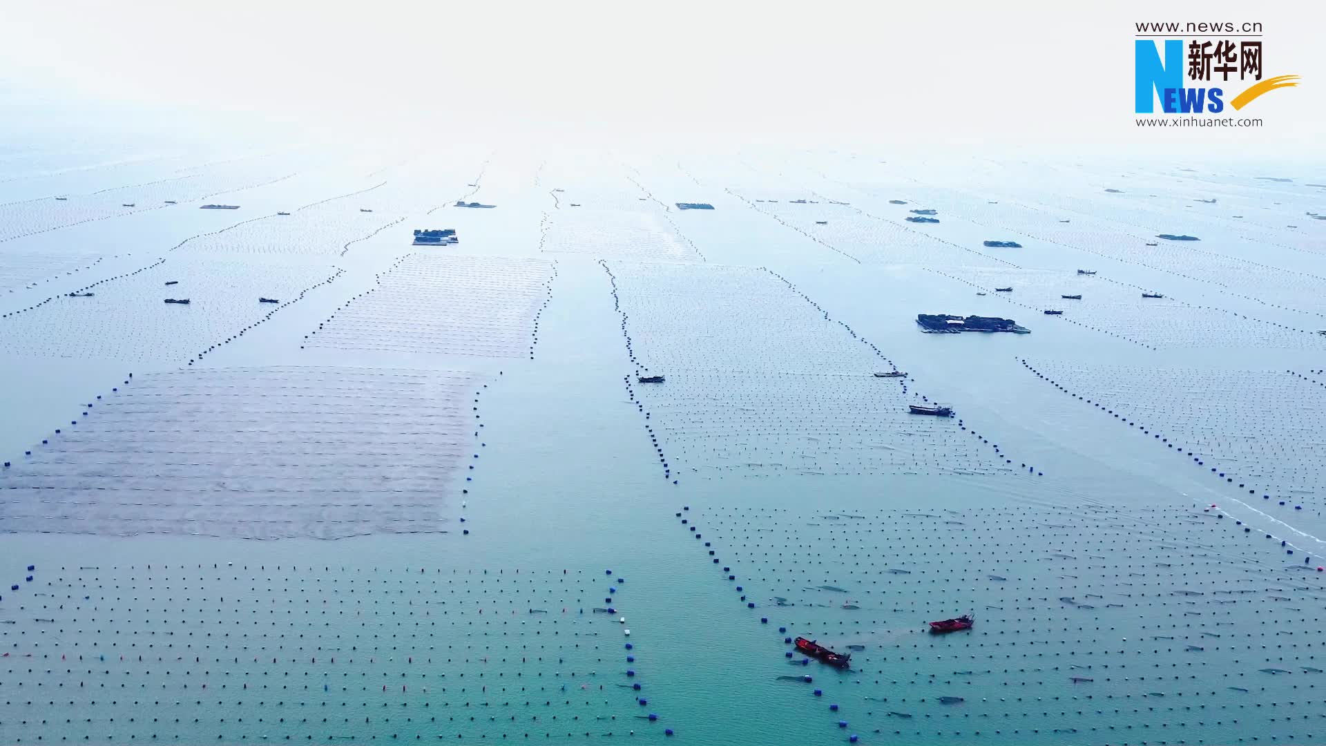 新华网