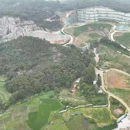 新华网