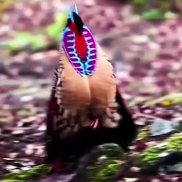 新华网