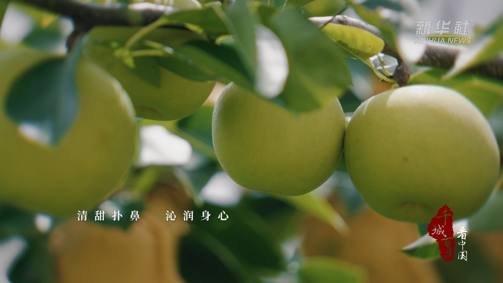 新华网