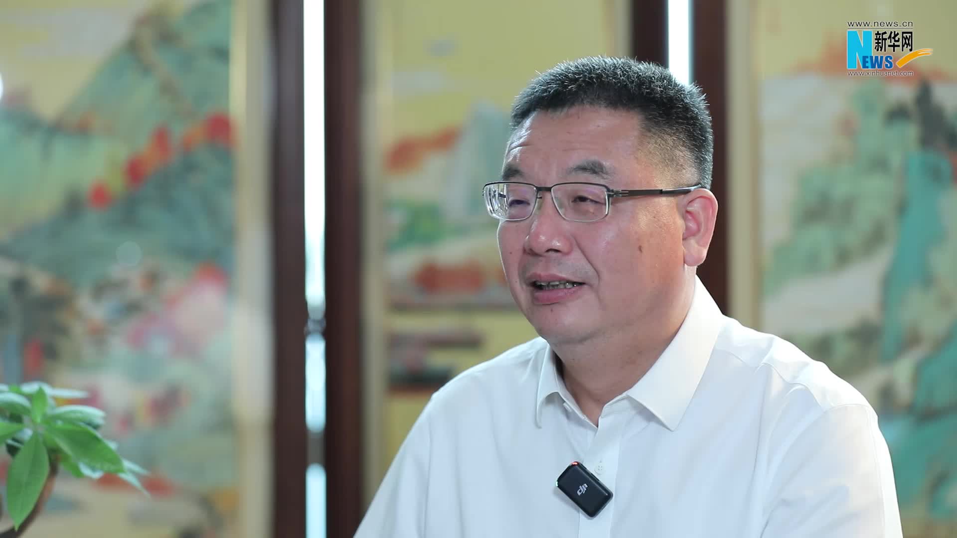 新华网