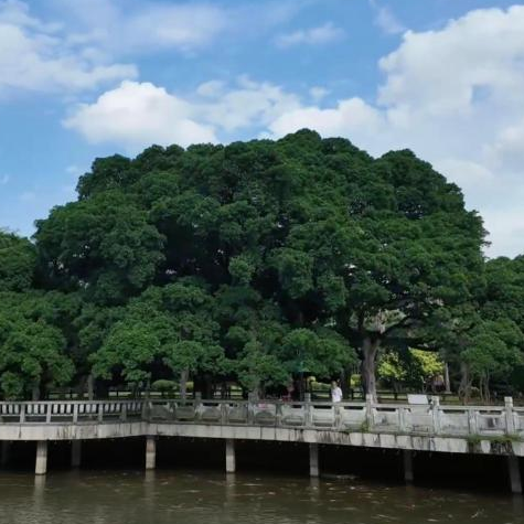 新华网