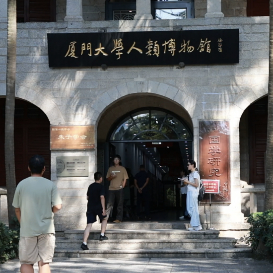 新华网
