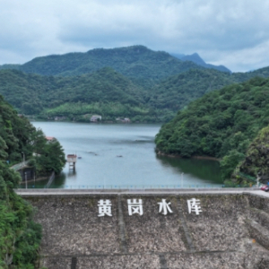 新华网