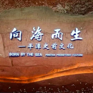 新华网