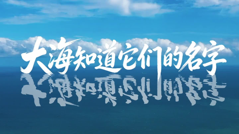 新华网