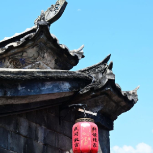 新华网