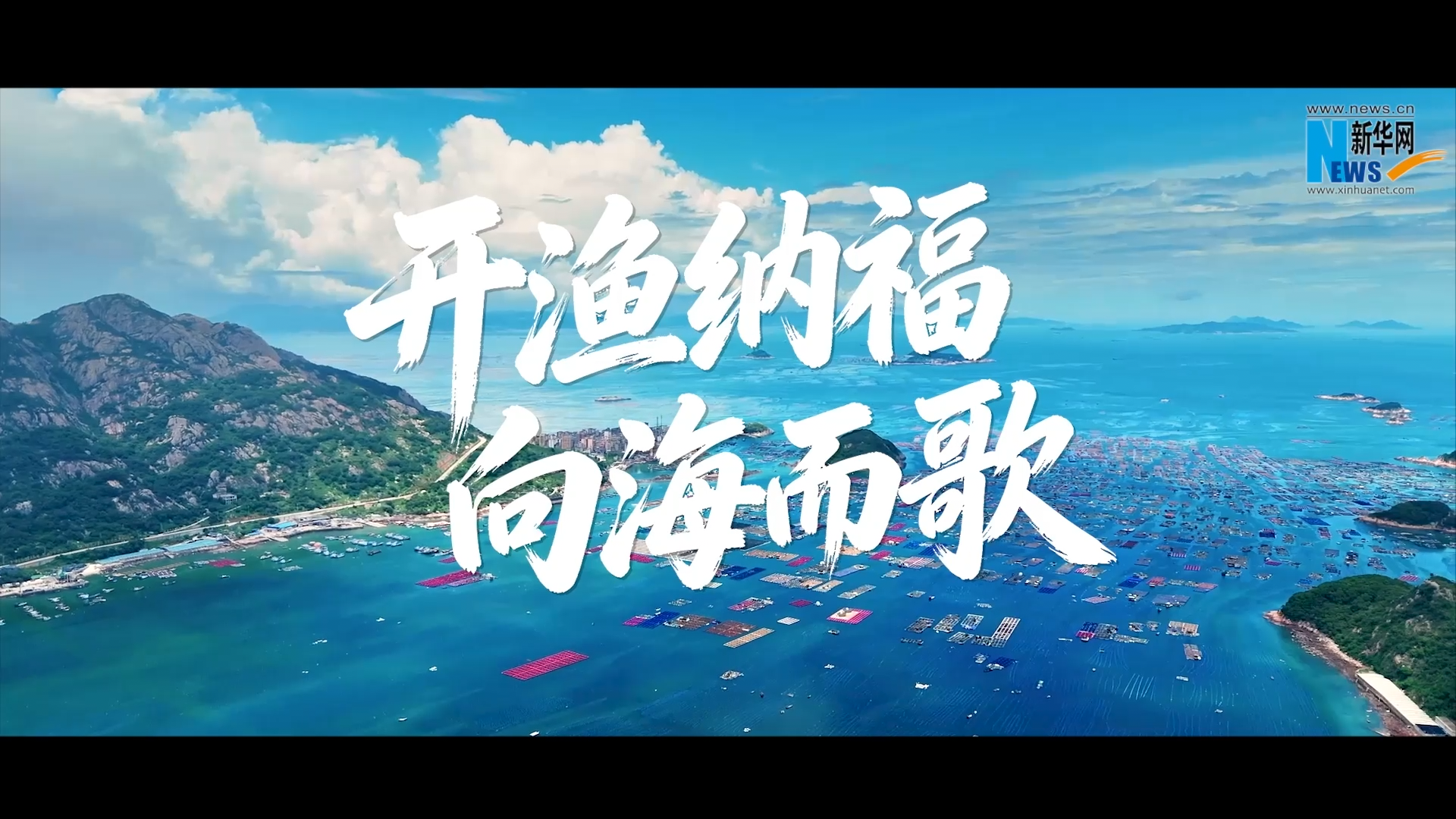 新华网