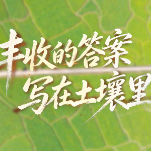 新华网