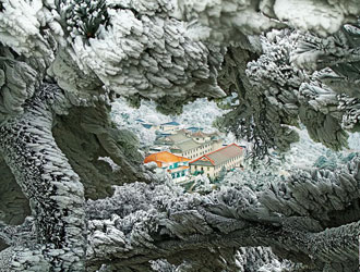 贫寒打工妹撞伤老人不逃不躲 悉心照料催发众