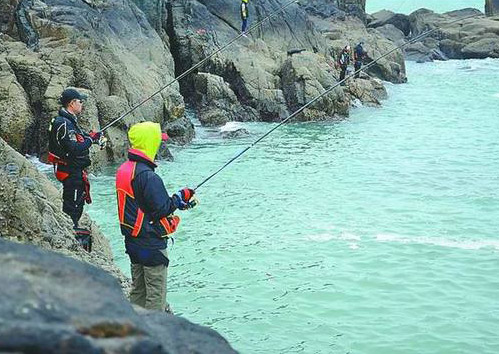 北岸在线-莆田市湄洲湾北岸经济开发区门户网