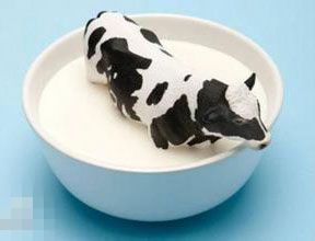 第六届中国奶业大会暨第四届海峡两岸巴氏鲜奶