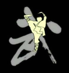 武术发展要创新不单一