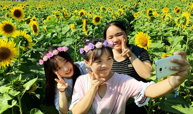 福州西湖公园至今有1700多年的历史,是福州迄今为止保留最完整的