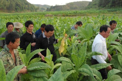 “移动”教室实现充电梦想