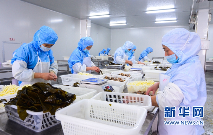 提升——向精深加工领域“再出发”