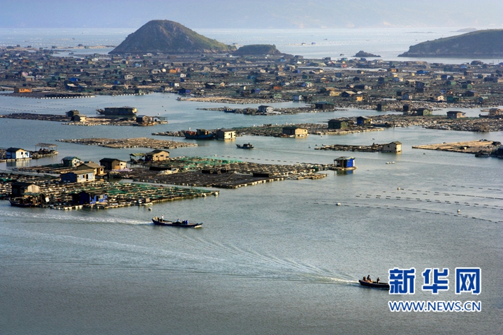福鼎长屿养殖基地位于入海口,是鲈鱼养殖的天然渔场.(企业供图)