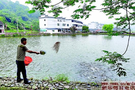 从“单干”到“合作” 一道艰难的选择题