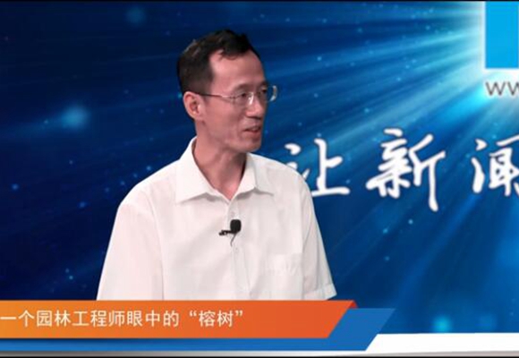 一個園林工程師眼中的&ldquo;榕樹&rdquo;