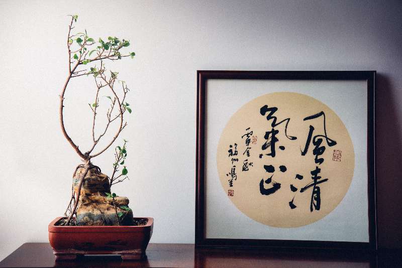 禪&middot;一葉聽風