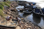 福建海洋部门出动1000多人次防御台风“玛莉亚”