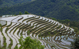 梅溪梯田