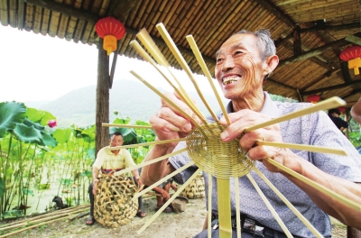 三明:深化林业改革促进乡村振兴 让更多百姓受益