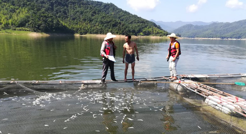 福建省水利厅改革开放40周年图片成果展