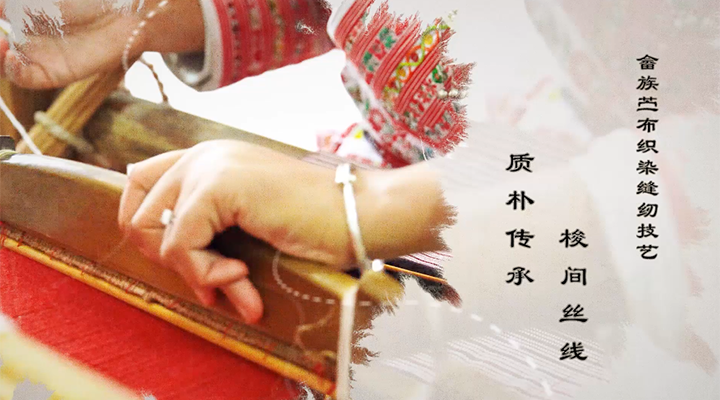 畲族苎布织染缝纫技艺：梭间丝线 质朴传承