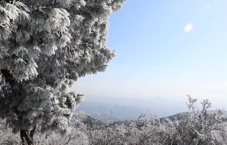 福建宁化：雾凇美景 分外妖娆