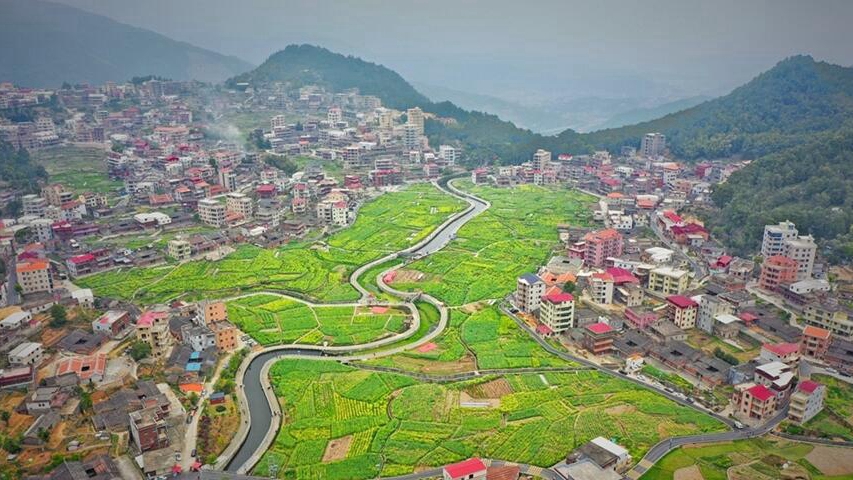 【“飛閱”中國】泉州虹山鄉：暢遊花海 邂逅春天