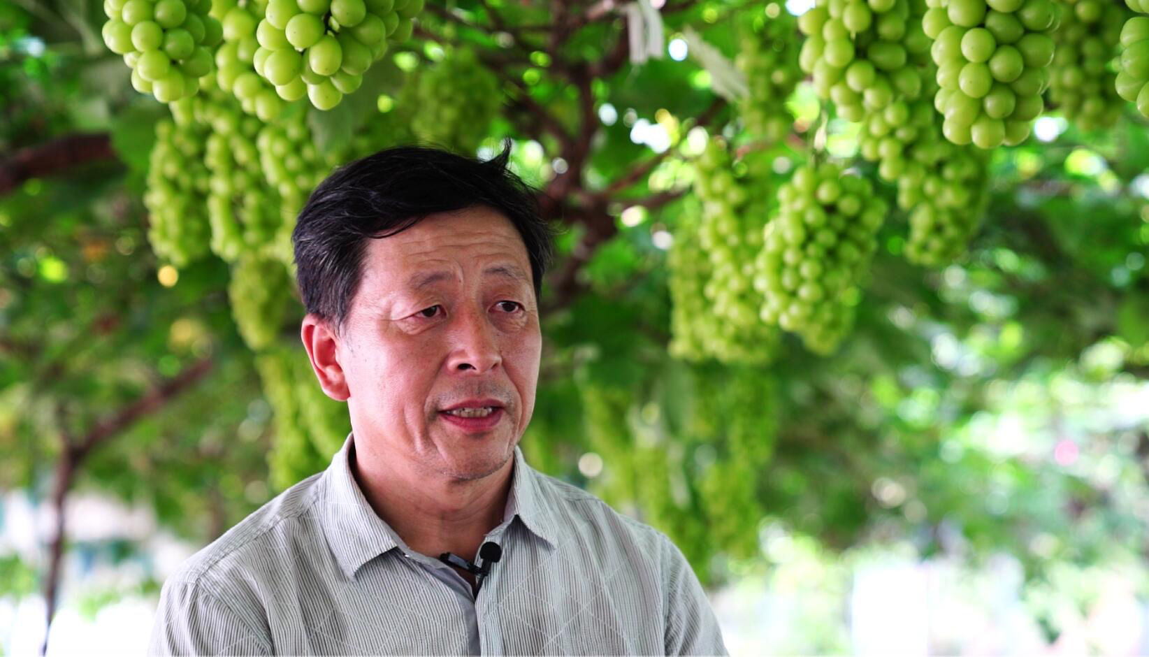 因为我们的科技服务，农户生活水平改善了，我们就非常开心
