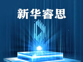 新华睿思大数据