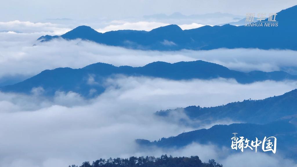 瞰中国｜福建寿宁：吉仙顶上“瞰”云海
