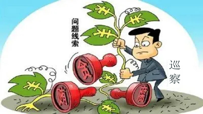 十三届厦门市委第三轮第一批巡察展开