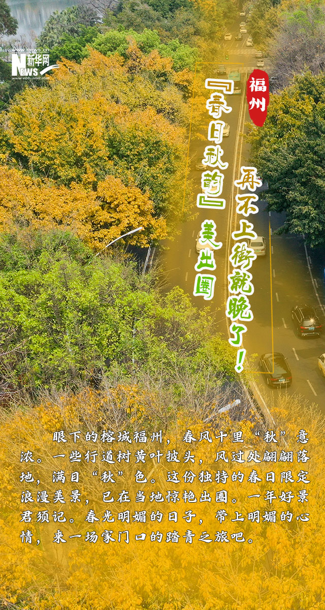 福州：“春日秋韵”美出圈，再不上街就晚了！