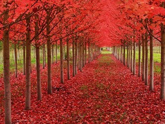 足球英超切尔西vs纽卡 切尔西告负