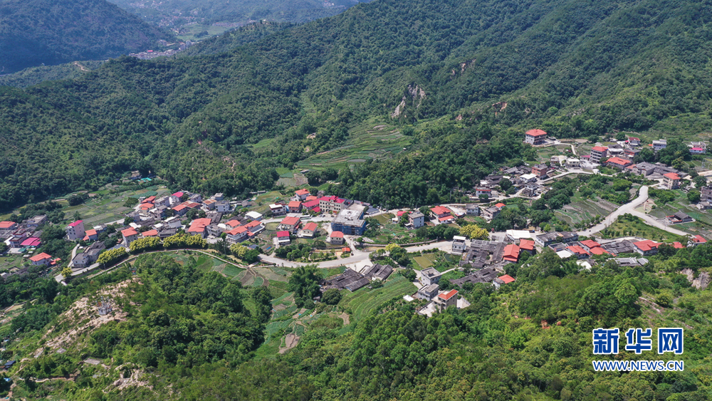 组图|福建泉州:生态振兴让乡村“颜值”更靓-新华网